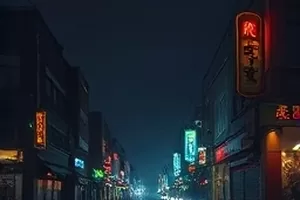 夜间场景暗部噪点的放大对比样本